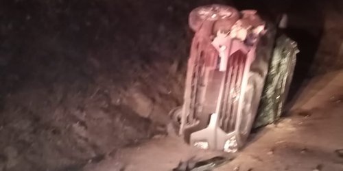 Vacas sacan del camino y vuelca vehículo en camino a Milpitas