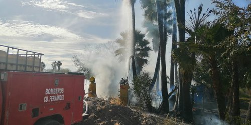 Bomberos de Ciudad Fernández atendieron incendio de palmeras