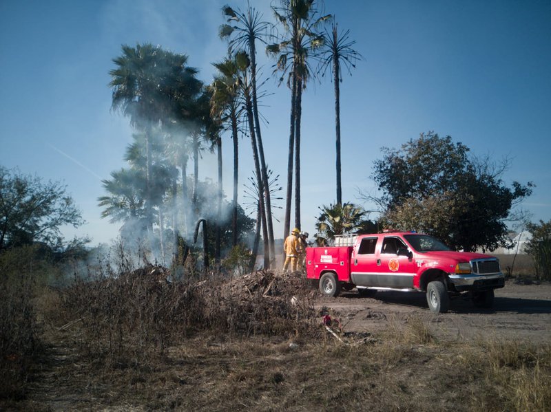 WhatsApp Image 2021-01-29 at 4.30.18 PM.jpeg