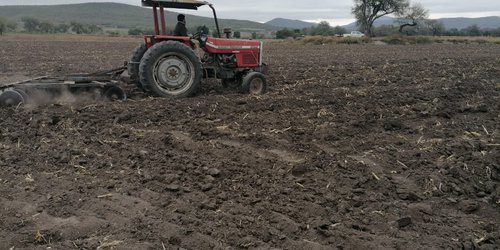 Promueven uso de abonos orgánicos en sustitución de agroquímicos