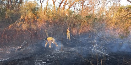 Atiende Bomberos quema de pastizales en inmediaciones del río Verde