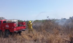 Incendios consumen 600 metros de pastizales