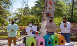 Colocaron casitas para ave en la plaza principal de CDFDZ