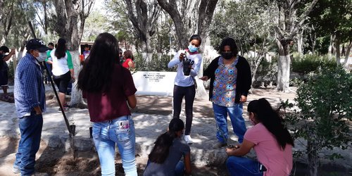 Reforestarán áreas públicas de la delegación de Pastora