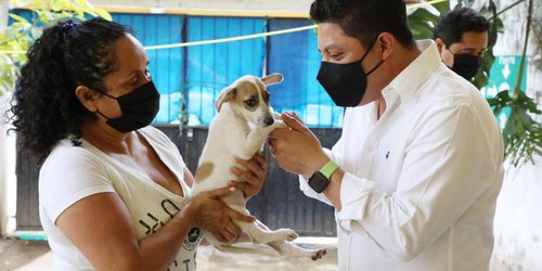 Gallardo Cardona instalará albergues para animales