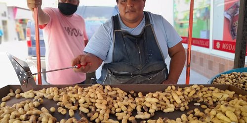 El cambio climático y sequía  afectan la producción del cacahuate