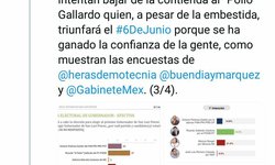 Verde y PT nacionales denunciarán intromisión del Estado en elección a Gobernador en SLP