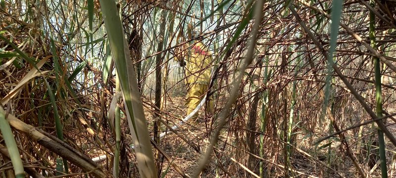 WhatsApp Image 2021-04-23 at 5.00.26 PM.jpeg