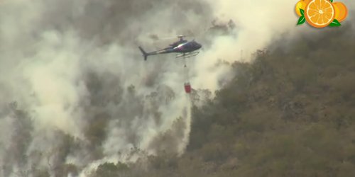 De mal en peor la sierra de Rioverde por falta de lluvias