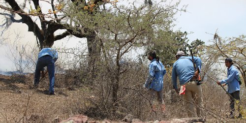 Continúa traslado de ayuda a brigadistas que combaten incendios forestales