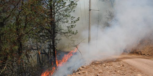 Incontrolables, incendios en la sierra; el fuego afecta más de 2 mil hectáreas