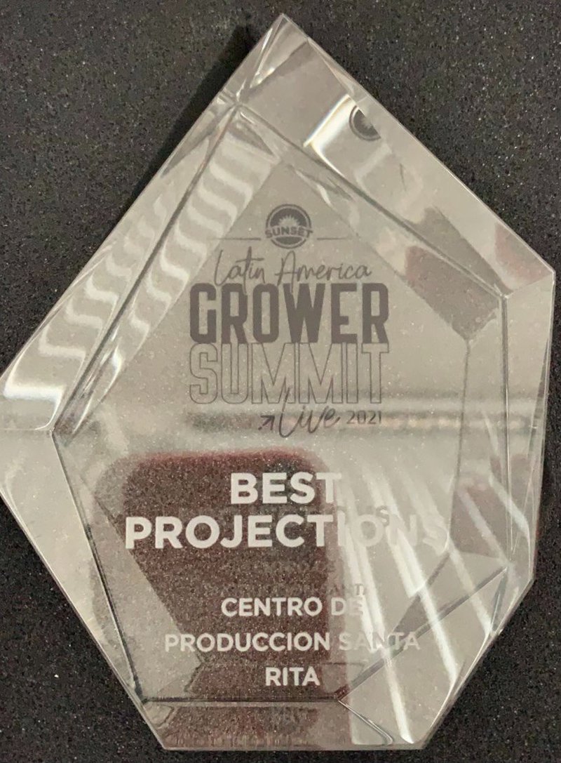 WhatsApp Image 2021-05-14 at 13.54.30.jpeg