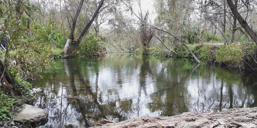 Grabarán película en locaciones de Rioverde