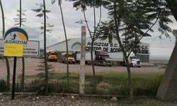 Pandemia y plagas afectó a la producción de  invernadero  Agrizom