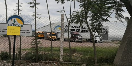 Pandemia y plagas afectó a la producción de  invernadero  Agrizom