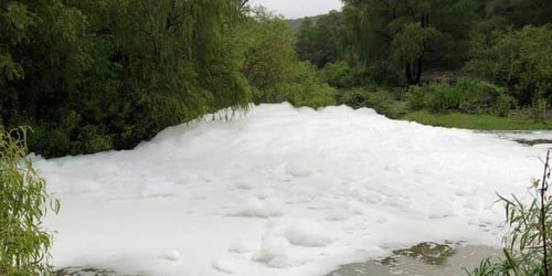 'Criminales' descargas al río Verde provoca mortandad de peces y contaminación