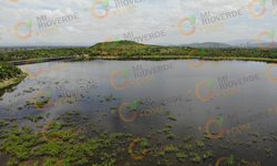 "Nos estamos acercando al fondo del acuífero en zona del Refugio y Rioverde": Investigador