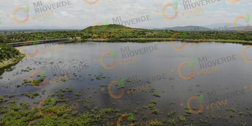 "Nos estamos acercando al fondo del acuífero en zona del Refugio y Rioverde": Investigador