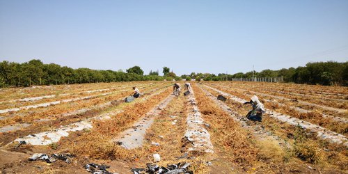 Instruyen buen trato a campesinos en Desarrollo Rural