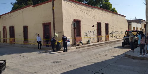 Hallan víboras en céntrico domicilio de Rioverde
