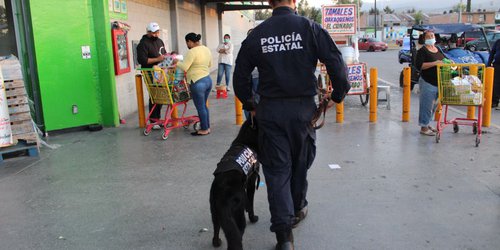 Policía Estatal participará en operativo "Buen Fin 2021"