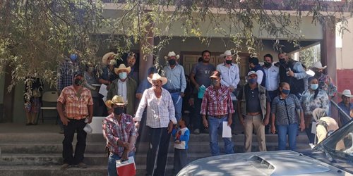 Detectan cinco vacas con rabia en San Bartolo; reforzaron vacunación