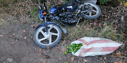 Ladrón de huertas fue sorprendido, y dejó abandonada la moto
