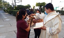 Bendición de animales, signo de piedad y fe de las familias