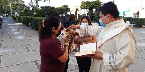Bendición de animales, signo de piedad y fe de las familias