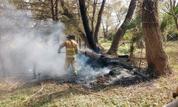 En un día, bomberos CDFDZ atendió cinco incendios de pastizal