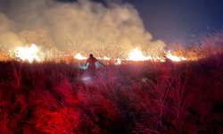 Fuego arrasa con dos hectáreas de pastizal en el ejido El Refugio