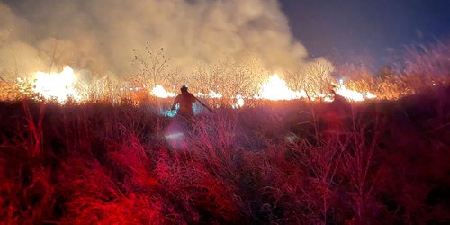 Fuego arrasa con dos hectáreas de pastizal en el ejido El Refugio