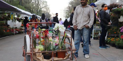 Inauguran feria de las flores, en su 30 aniversario