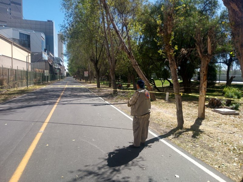 WhatsApp Image 2022-03-17 at 11.29.57 AM.jpeg