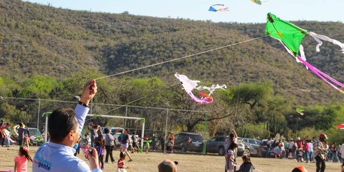 Exitoso festival del papalote en la ribera fernandense
