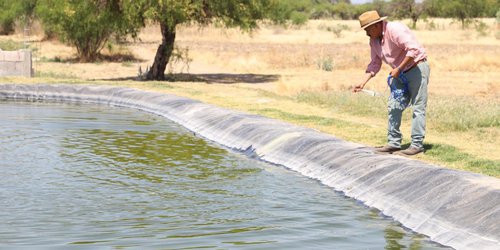 Impulsarán producción de peces y nopal en la capital potosina