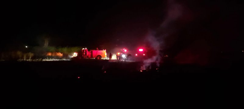 WhatsApp Image 2022-04-05 at 8.56.46 AM.jpeg