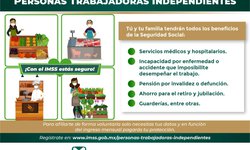 Ofrece IMSS San Luis Potosí esquema de aseguramiento para personas trabajadoras independientes