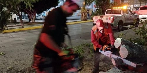 Fuertes lluvias y vientos tumban árboles y publicidad en la ciudad de SLP