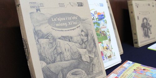 Habitantes de la Huasteca serán alfabetizados en lengua original