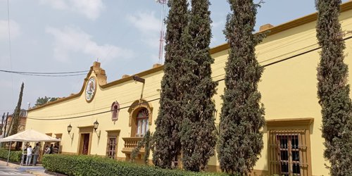 Derribarán pinos de la Presidencia Municipal de Ciudad Fernández