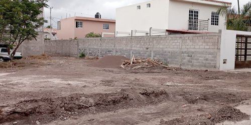 Derriban ocho árboles para pavimentar calle Del Lago, vecinos denuncian ecocidio