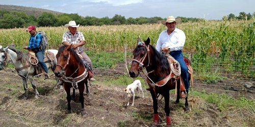 Abrirán caminos al lado del río Choy para desazolvarlo