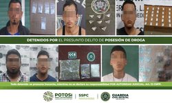 Agentes de la Guardia Civil aseguran 116 dosis de droga: Seis detenidos