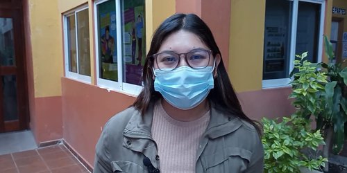 Comité vecinal aprobó derribar árboles de calle Del Lago: Ecología