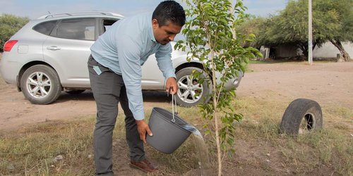 Más de 150 árboles se plantaron en jornada de reforestación