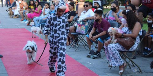 Pasarela por alfombra roja, en “Tarde perrona” del DIF Rioverde