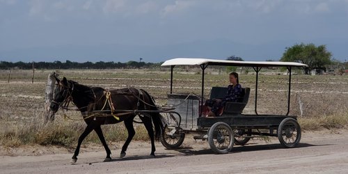 Arnulfo Urbiola Creará Ruta Turística Para Visitar la Colonia Menonita de Rioverde