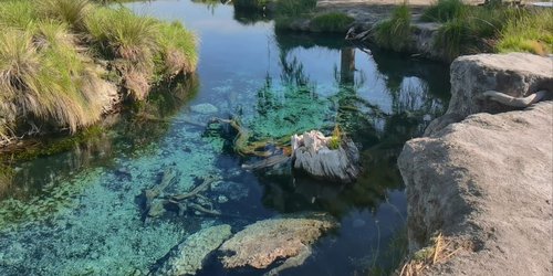 Dramático descenso del nivel del agua en manantial Los Peroles