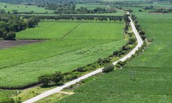 Con 220 MDP, inicia Ricardo Gallardo rescate de la carretera Valles-El Naranjo